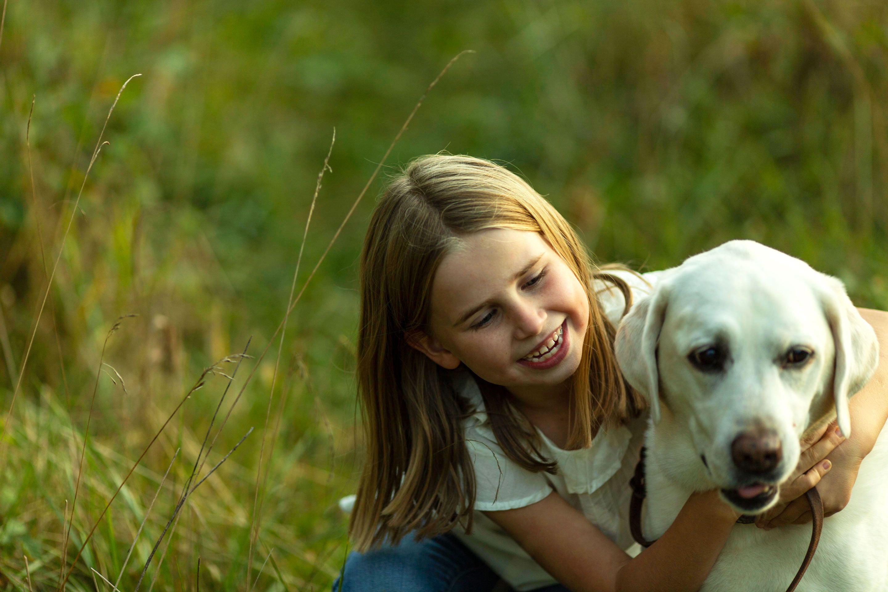Dog training session focused on obedience and behavior in southern illinois and new hampshire